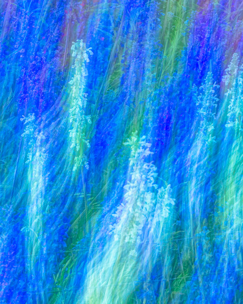 Tohono Chul Gardens, Tucson, AZ