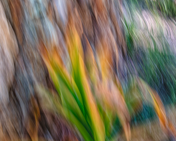 Tohono Chul Gardens, Tucson, AZ