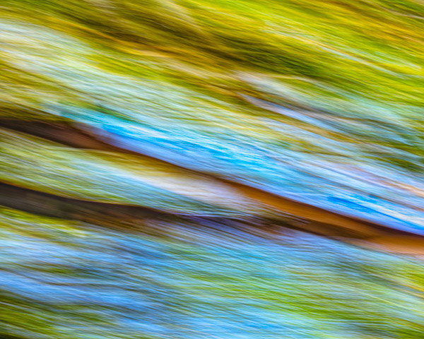 Tohono Chul Gardens, Tucson, AZ