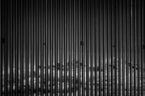 Organ Pipe Nation Monument, A