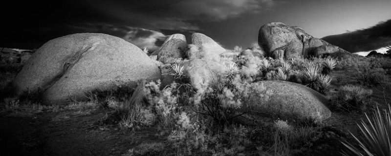 Joshua Tree National Park, California