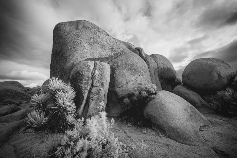 Joshua Tree National Park, California