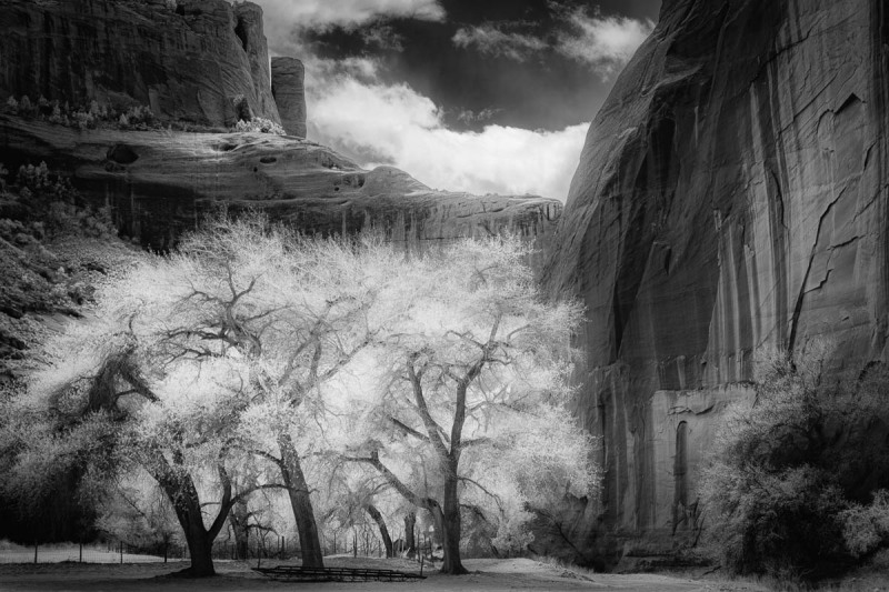 Canyon Glow, Canyon de Chelly National Monument, Arizona