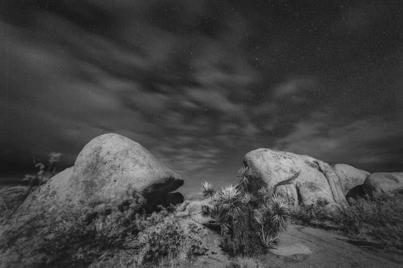 Joshua Tree National Park, California